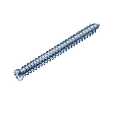 Kozijnschroeven (10 stuks)