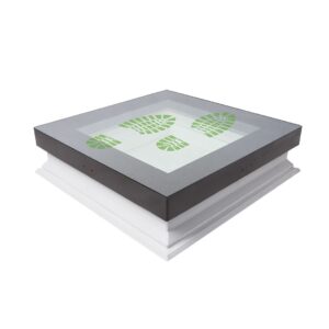 beloopbaar-platdakraam-fakro-dxw-dw6